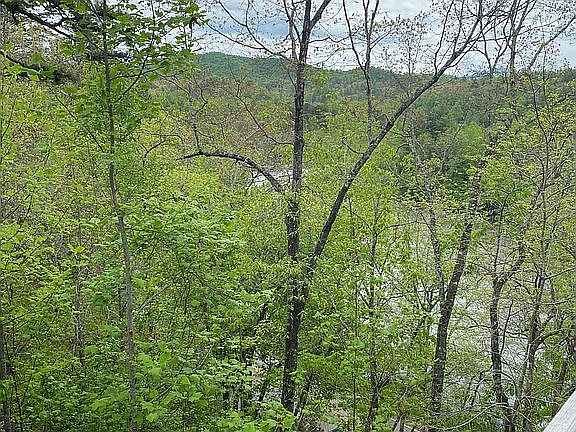 Little Tennessee riverview