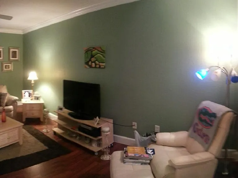 Full living room view