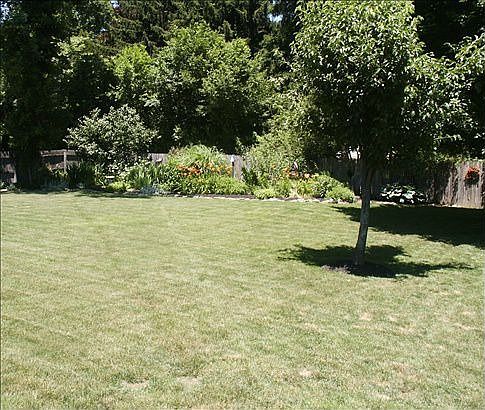 Back yard and flower garden