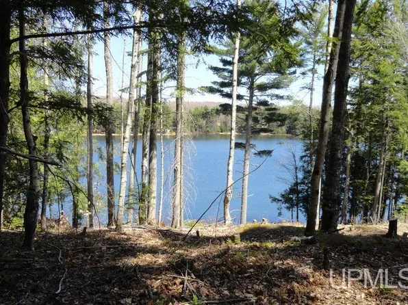 E9606 N Town Line Lake Rd, Wetmore, MI 49895