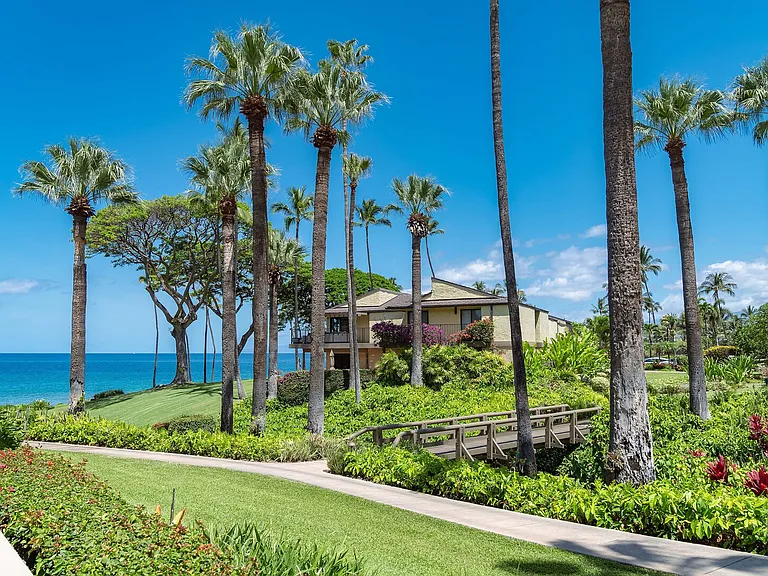Wailea Alanui Dr — Photo 45