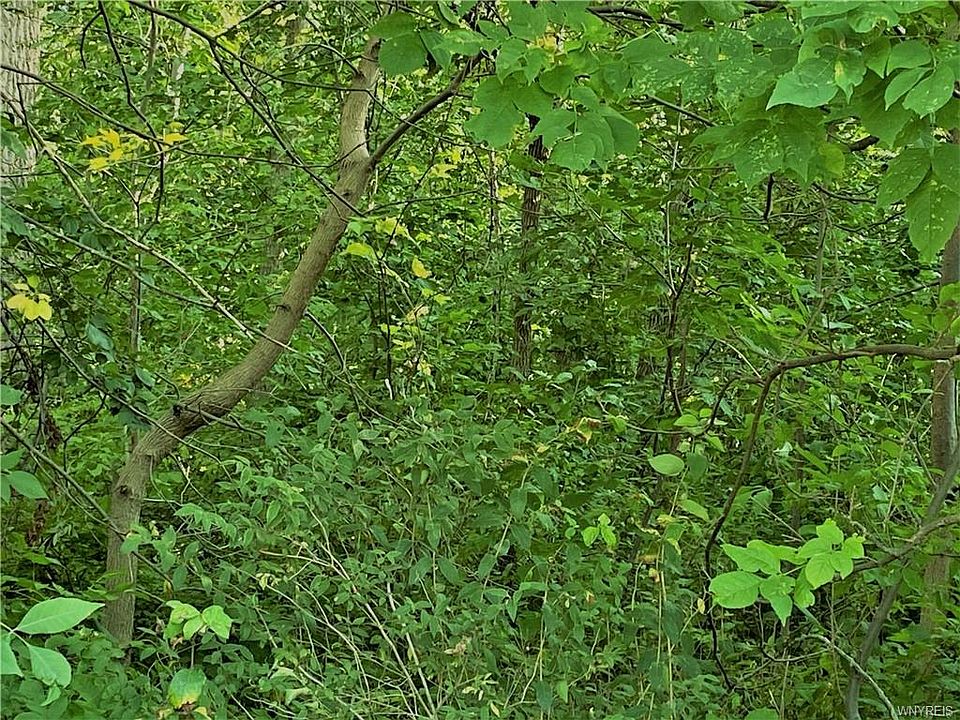 2nd image of 3895 E Robinson Rd