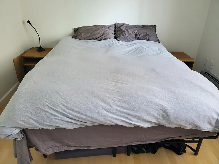 1135 Elizabeth St #201 — Photo 10