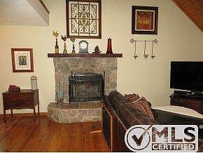 Wood buring Fireplace