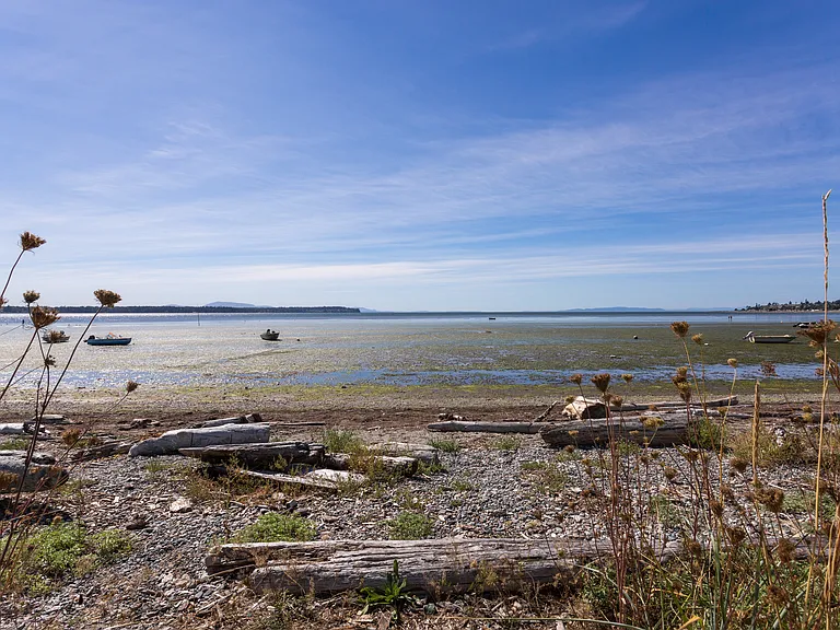 8293 Beach Way Dr — Photo 23