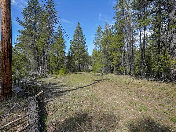 3rd image of 101 Pines Rd