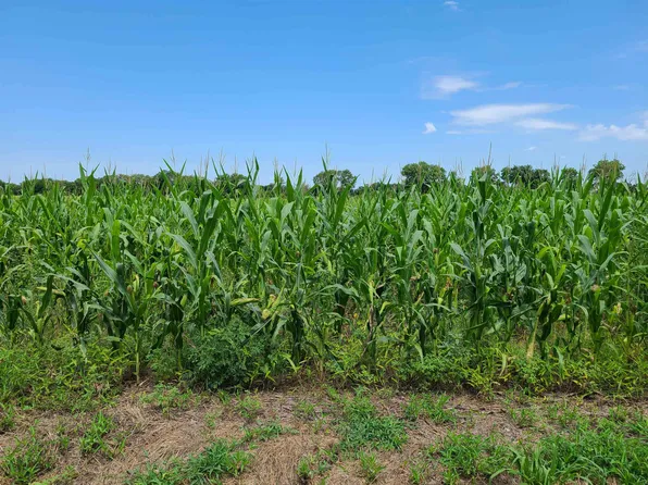 22397 51st Rd Tract 1, Winfield, KS 67156