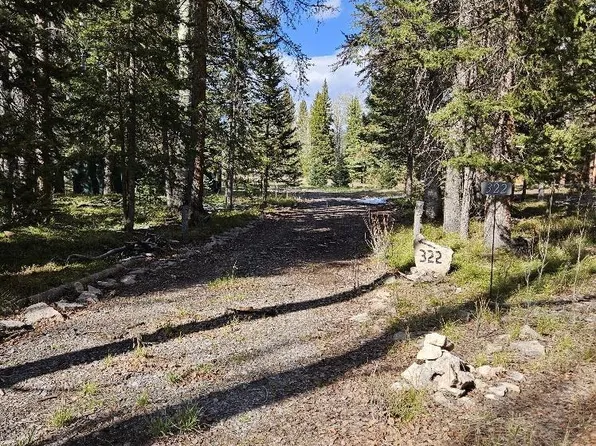 322 Spruce Road, Cimarron, CO 81220