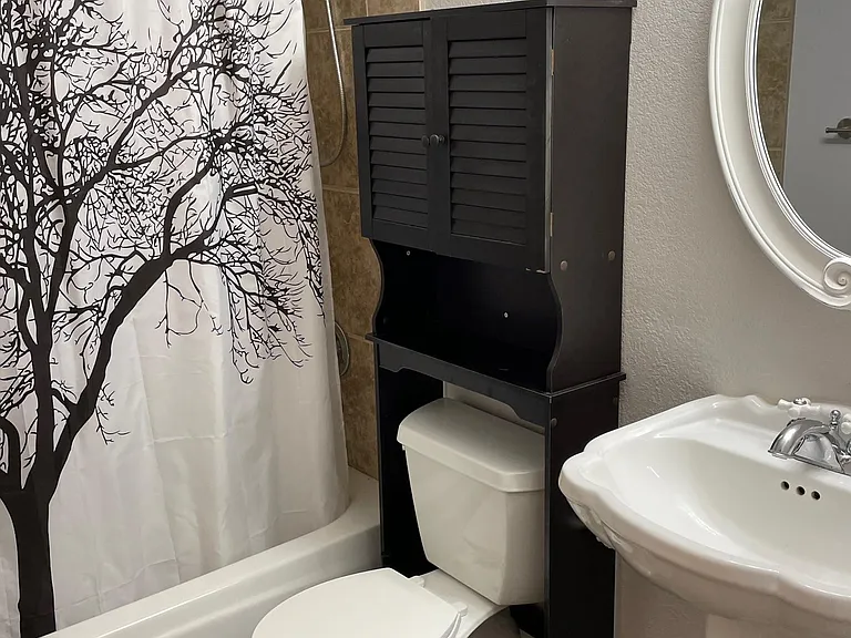 Guest bath downstairs