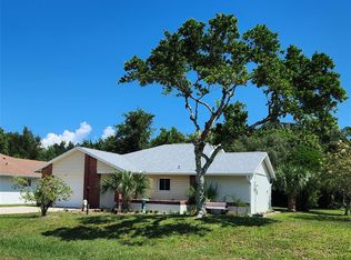 30 Blairsville Dr, Palm Coast, FL 32137