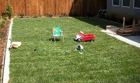 1st image of 13369 Arbor Park Ln