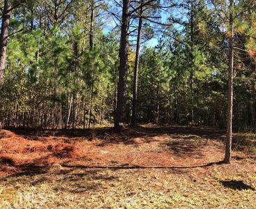 0 N Westend Ln, Dudley, GA, 31022