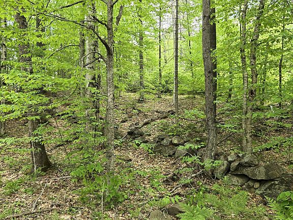 4th image of Lot 10C Staples Pond Road