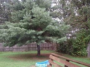 view from deck