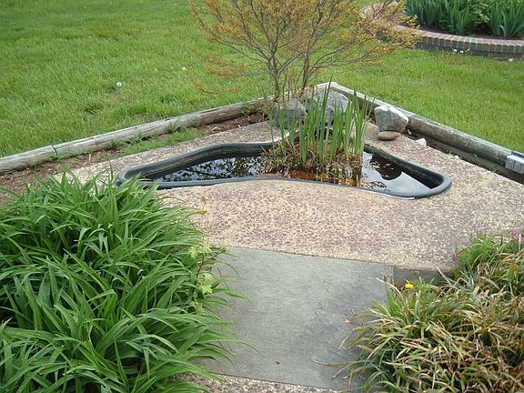 Pond by front walkway