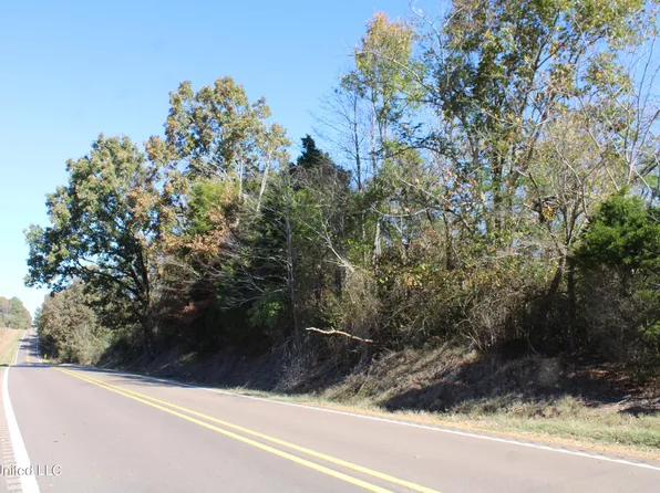 8315 Highway 309 S, Holly Springs, MS 38635