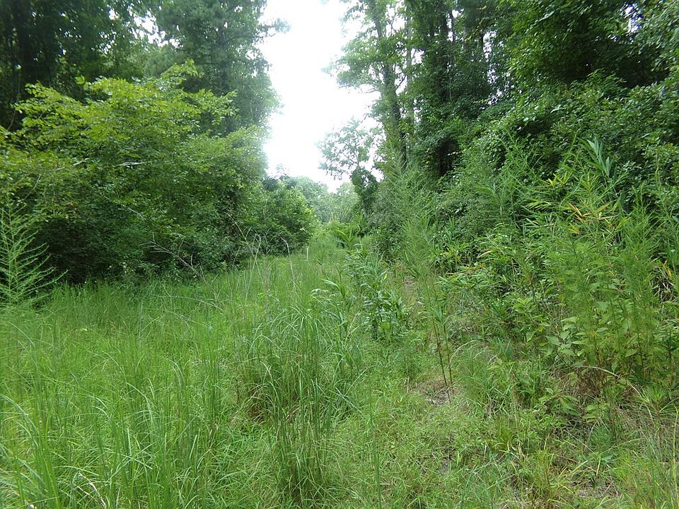 2nd image of 58 Harrell Rd