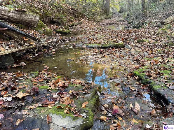 6 Little Clifty Rd, Big Clifty, KY 42712