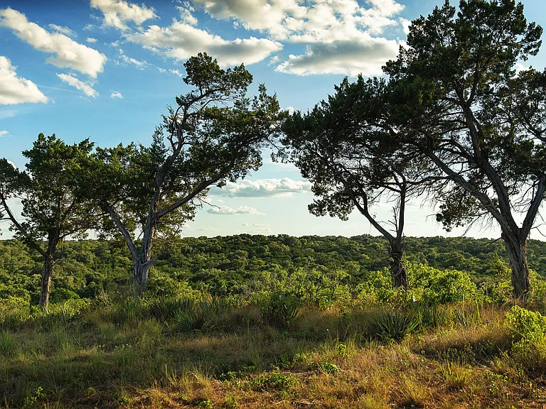 THREE-CREEKS-BELTON-0014-min_04032024
