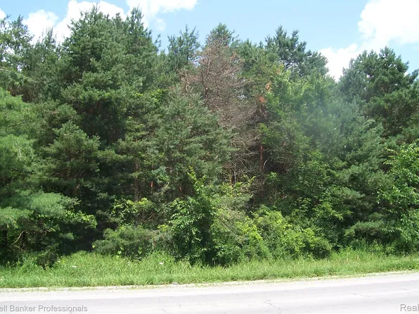 V/l North Branch Rd, North Branch, MI 48461