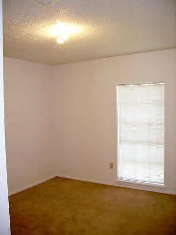 810 Terryhollow St — Photo 8