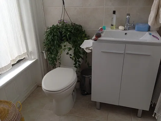 Rented by BLS Realty | media 12