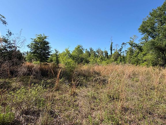 5th image of Tbd 217th Rd