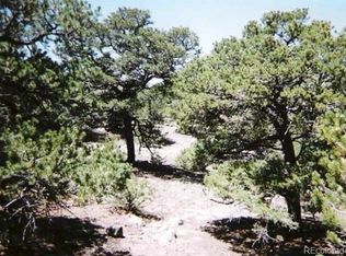 42 Stage Station Cir, Mosca, CO 81146