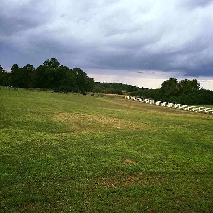 2nd image of Kennedy Dr