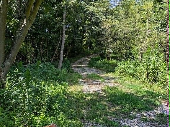 4th image of 1387 Rich Davis Rd