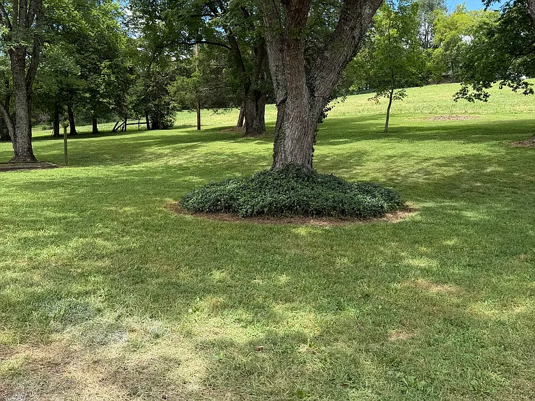 49 Chandler Rd — Photo 3