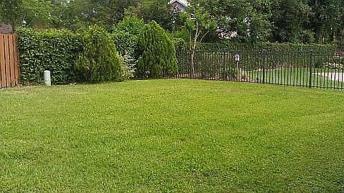 Large fenced in back yard