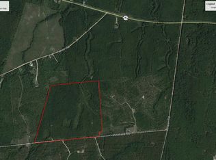 Whitfield Road Tract 112 Acres, Bartow, GA 30413