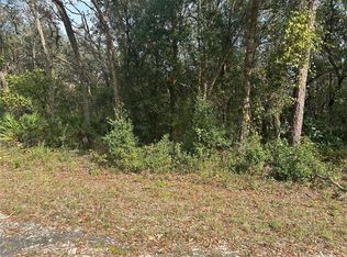 9102 Realstone Dr #36, Webster, FL 33597