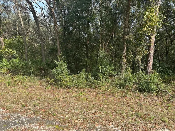 9102 Realstone Dr #36, Webster, FL 33597