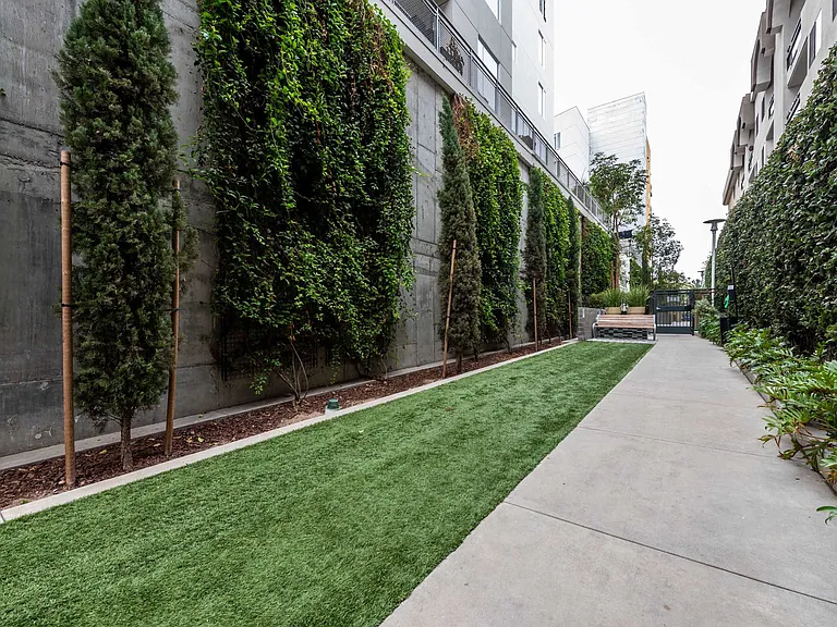 Desmond at Wilshire — Photo 26