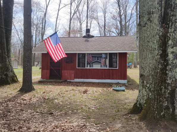 1169 Wolf Lake Dr, Baldwin, MI 49304