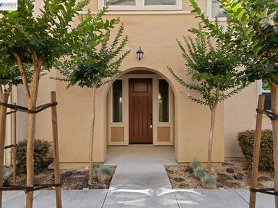 34623 Acquaviva Ter, Fremont, CA, 94555