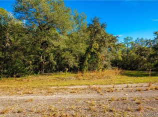 9301 N Lampson Ter, Citrus Springs, FL 34434