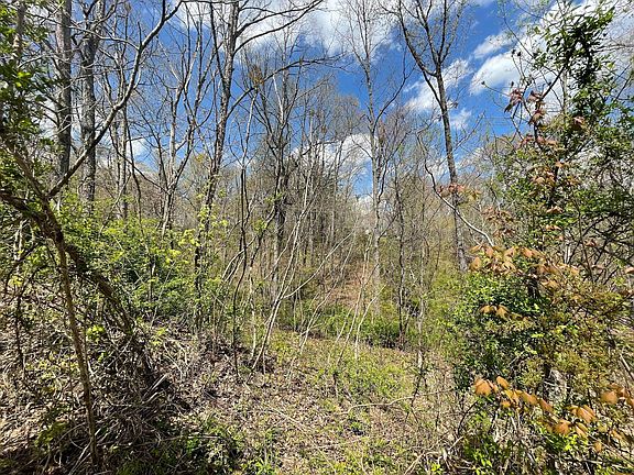 2nd image of Foxwood Dr