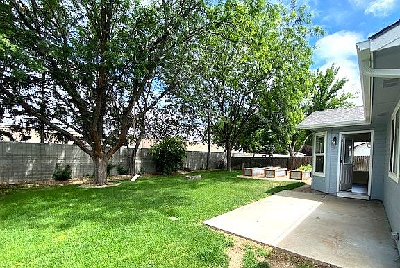 Backyard with planter boxes
