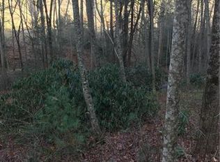 747 Coyote Hollow Rd #66, Waynesville, NC 28785