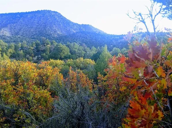 XXX Indian Route 111, Durango, CO 81303