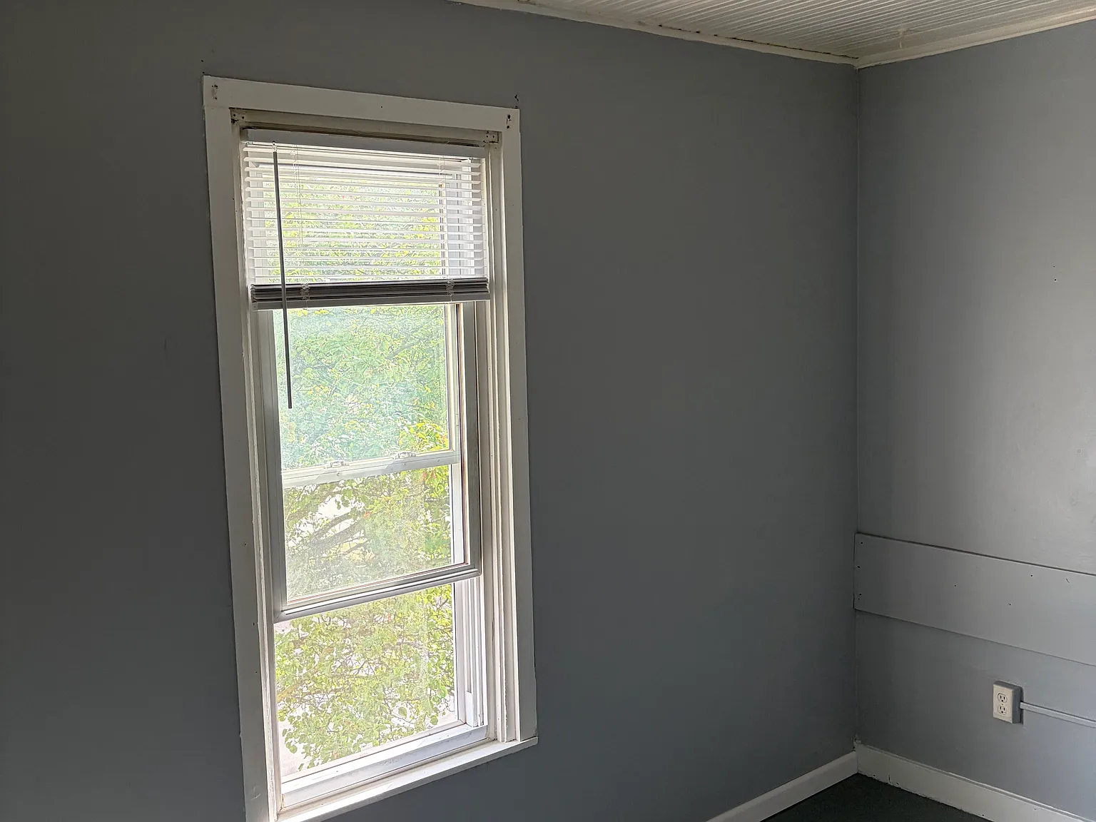 1 bed, 550 sqft, $785 — Photo 2
