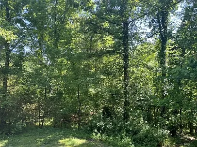 225 Grandview Rd — Photo 26