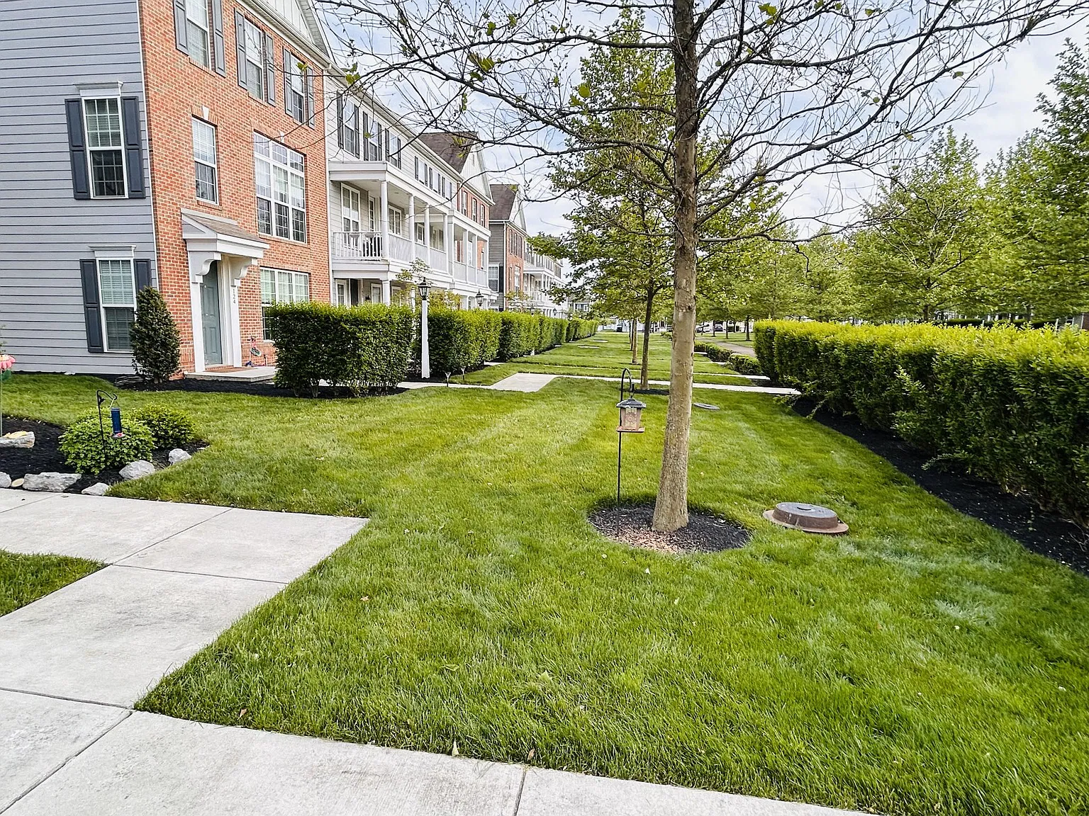 126 Ellis Aly — Photo 3