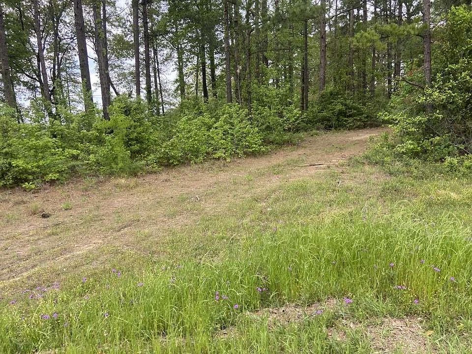 2nd image of LOT 34 Us Highway 96 S