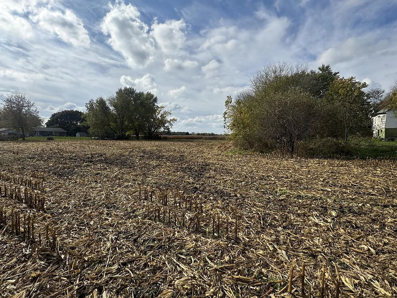 Lt2 LEO LANE photo 1