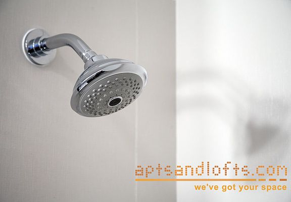 3rd image of 339 Greene Ave APT 4B