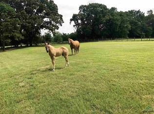 10255 County Road 417, Tyler, TX 75704